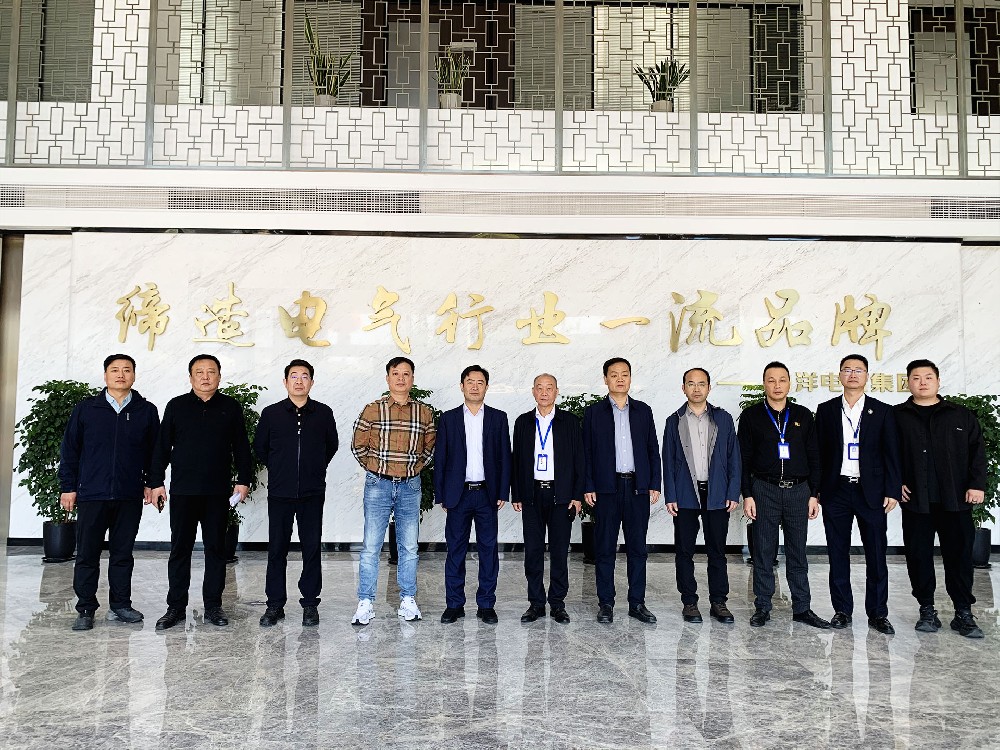 保定市滿城區政府考察團走進南洋電氣集團 --共繪電力電氣產業協同發展新藍圖